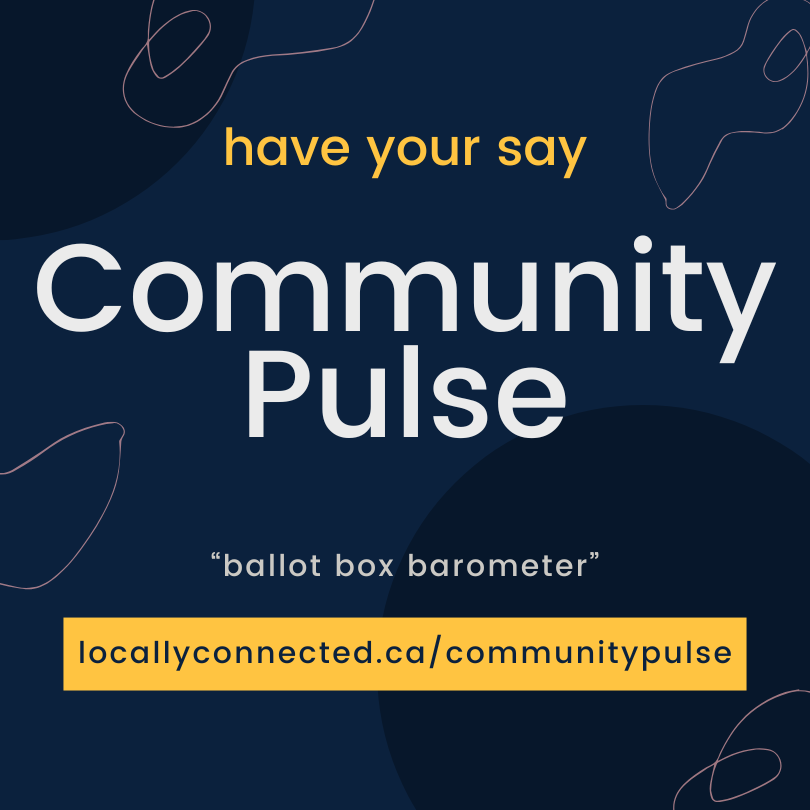 LCCHub Community Pulse (1)